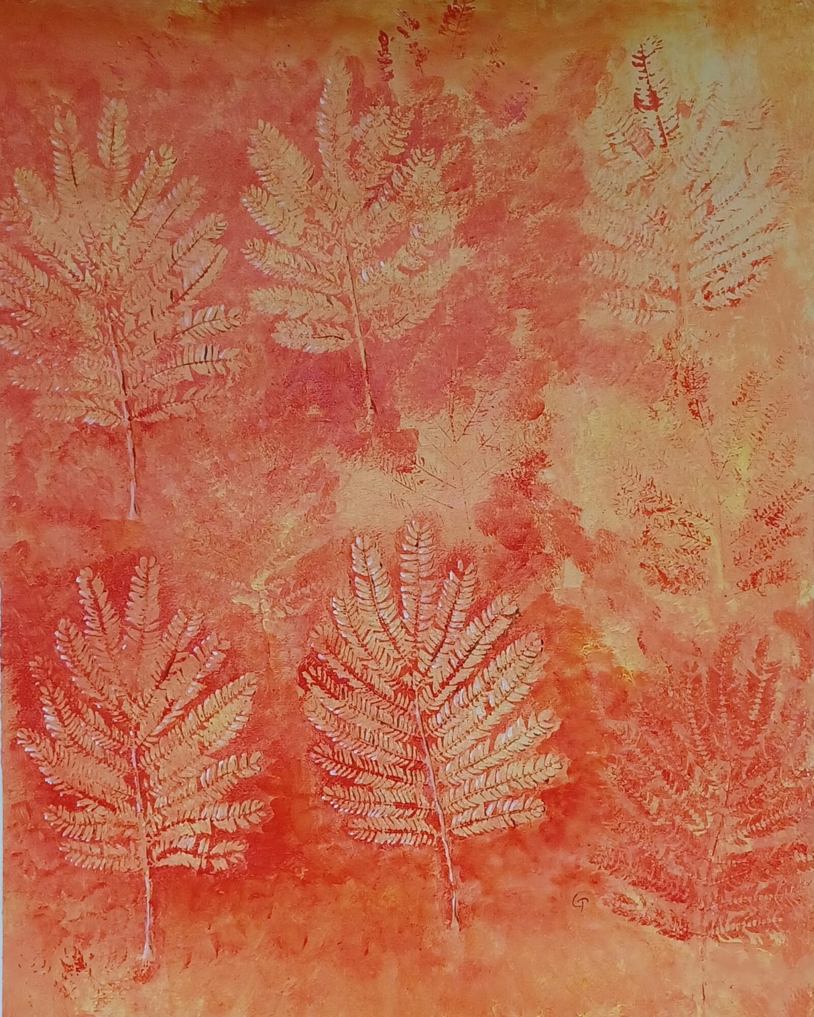 Albizia rossa - Acrilico su tela 70x50